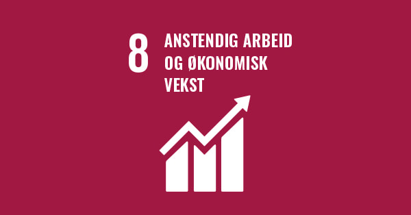 FNs mål 8 på anstendig arbeid og økonomisk vekst, til illustrasjon for grønn bank