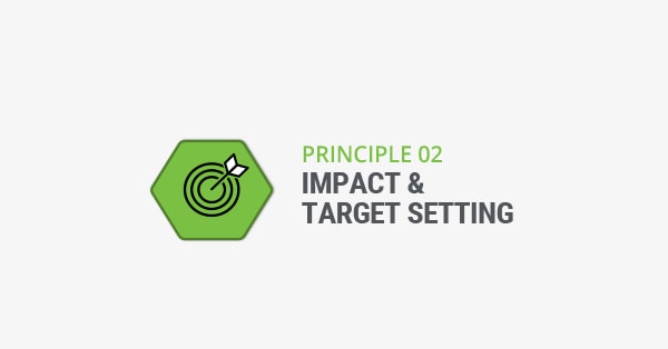 Prinsipp 2 impact & target setting