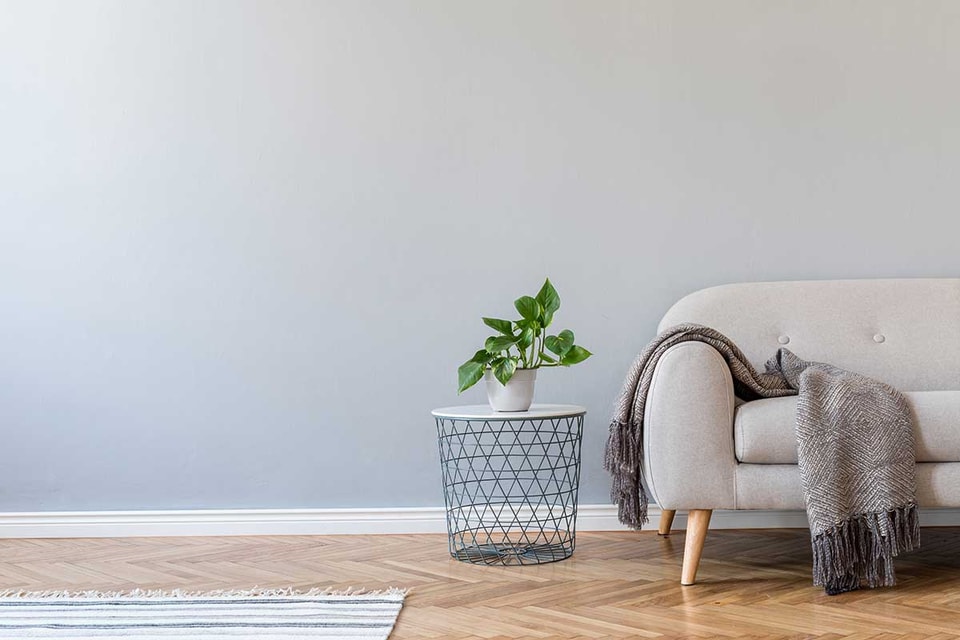 En stue med en grå sofa, brunt pledd og en grønn plante, til illustrasjon for tips før visning